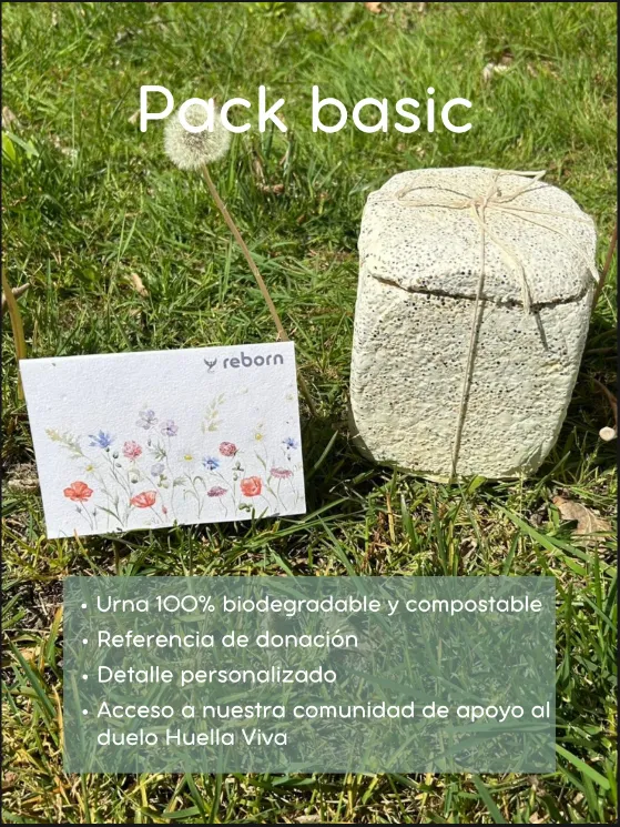 Pack Basic.webp