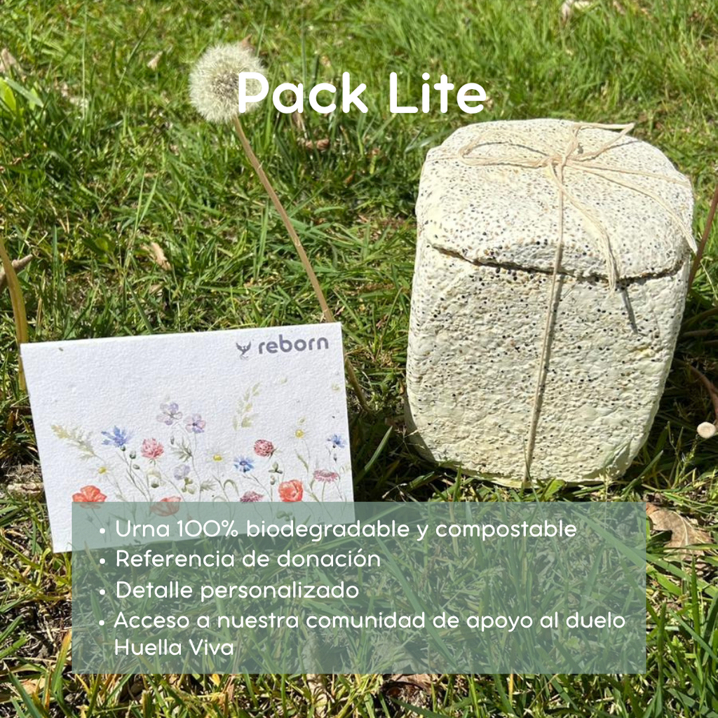 Pack lite en (1080 x 1080 px).png